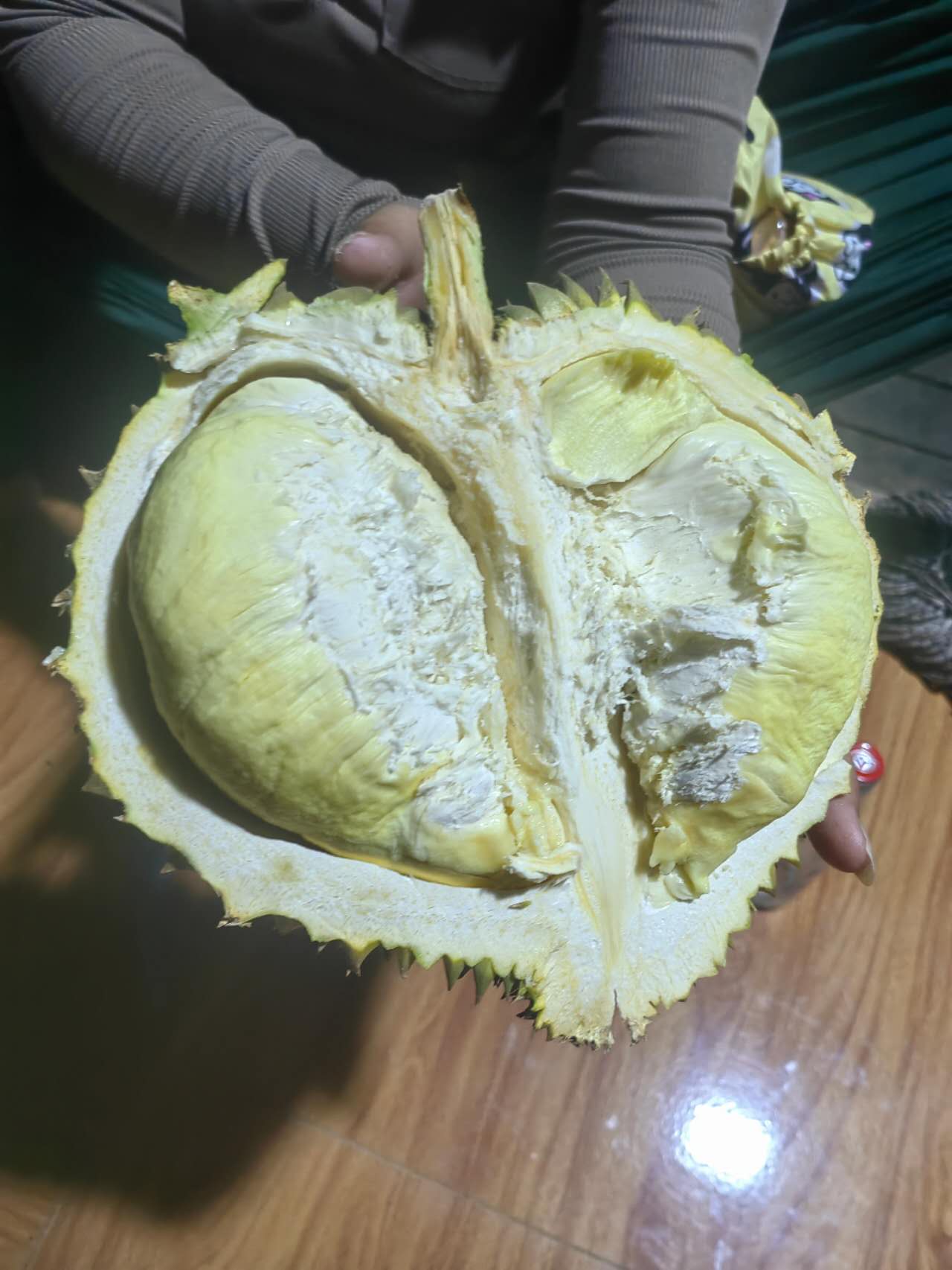 榴莲